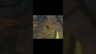 Doakes snipes Thomas Miller during Stormwind raid #turtlewow
