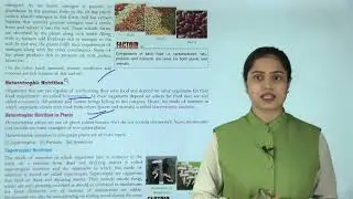 Ch 01 | Learn Well Books | Science | Class 07 | Nutrition in Plants  | For children