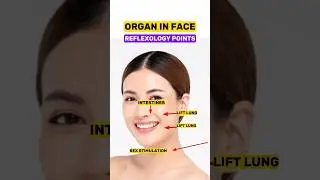 DIY ORGAN IN FACE #2 /REFLEXOLOGY POINTS/ACUPRESSURE #viralshort #reflexology #acupressurepoints