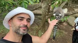 Madagascar November 2025