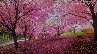 [Lyrics+Engsub+Vietsub] Kiraz Mevsimi (Slow) - Volkan Akmehmet & Aydilge (Cherry Season OST)
