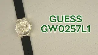 Розпаковка GUESS GW0257L1