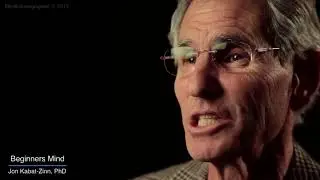 Jon Kabat Zinn Mindfulness 9 attitudes - Mente do principiante