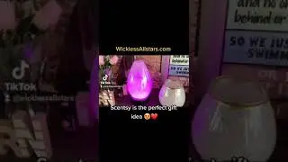 SCENTSY IS THE PERFECT GIFT IDEA ❤