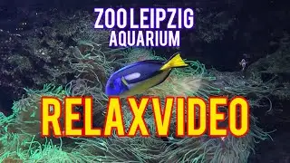 Zoo-Aquarium Leipzig 