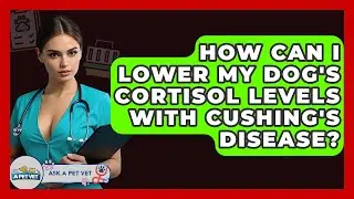 How Can I Lower My Dog's Cortisol Levels With Cushing's Disease? - Ask A Pet Vet
