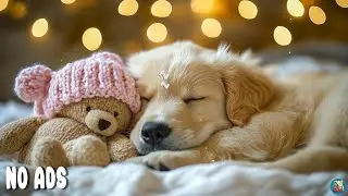 12 ЧАСОВ Расслабляющая Музыка для Собак 🐶 Анти-Тревога Дома Одни & Глубокий Сон💖Без Рекламы