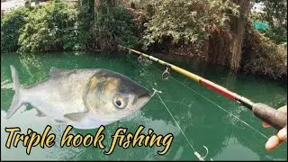 Triple hooks fishing ||tapiya || in fewa lake pokhara