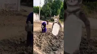 #tamil #song mava 😆 Kali photo 🤪 #funny 🤪 #love 🥰 fanny #dance 🙀🙀 shots viral