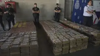 9,5 tonnellate di cocaina tra le banane, sequestro record in Spagna