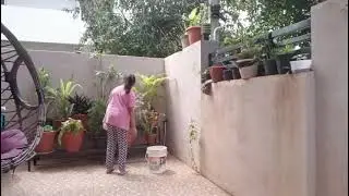 How I water my plants 