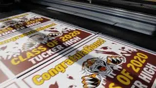 Celebrate 2020 Graduates - Custom Graduation Signs
