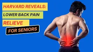 Lower Back Pain? Try These Harvard-Approved Exercises #seniorwellness #seniorhealth
