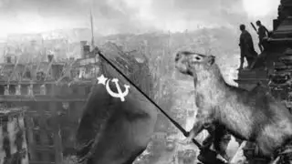 Venceremos!