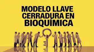 Lock and key model in Biochemistry