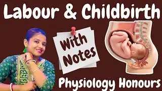 Physiology Honours Note | Physiology Honours SEMESTER 1 note| Labour & Child Birth |