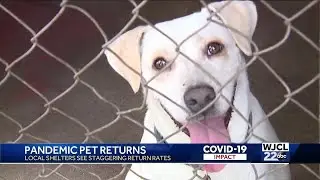 'We are completely overloaded': Some local animal shelters seeing uptick in pet returns