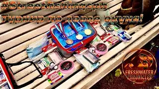 #streetfishing Турнир по ловле окуня в центре Санкт-Петербурга!