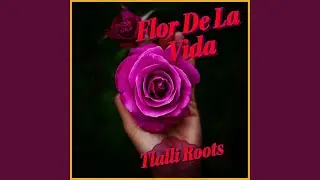 Flor De La Vida