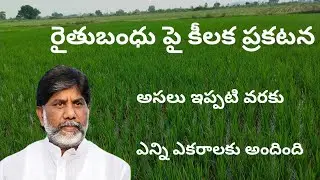 రైతుబంధు పై కీలక ప్రకటన / అసలు ఇప్పటి వరకు ఎన్ని ఎకరాలకు అందింది / #రైతుబంధు / #pavanmultiplevideos