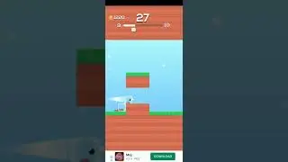 How to play square bird