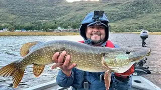 PIKE fishing in Loch Lomond - Glasgow, Scotland- StrayCaster 2024 Eurotrip