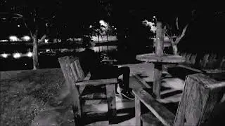 LIDD - STAY