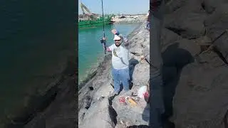 ജീവിതത്തിൽ ആദ്യമായി സാഫിമീൻ  പിടിച്ചു | Caught safifish for the first time in my lifev | N3U vlog