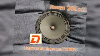 DL AUDIO RAVEN 200 v.2 l Хлесткий панч за 7290₽!
