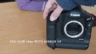 CANON 1D MARK 4 shutter @ 10 fps