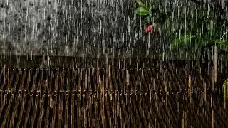 Instant Calm ⚡ Soft Rain Sounds for Sleep, Study & Relaxation