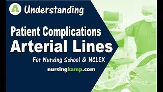 What are Arterial Lines A Lines ICU Dicrotic Notch dampening Allens Test Nursing  NCLEX review 2019