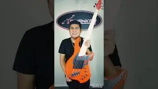 Review R&aacute;pido del bajo Dingwall NG3 FIESTA RED