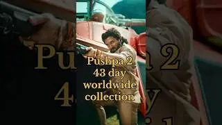 Pushpa 2 43 day worldwide collection ll #shortsviral #clip#rffect#yoitubeshorts#explore#virak#videi