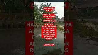 #cintarosul #mazndulchannel