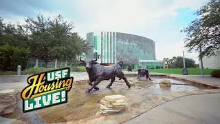 What&rsquo;s Up on Campus - USF Housing LIVE! - 507