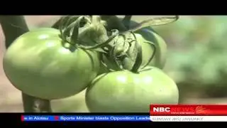 NBC News - Support agriculture sector