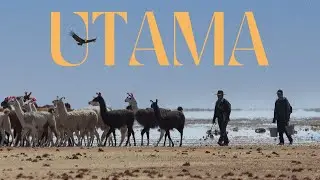 Utama | Official Trailer