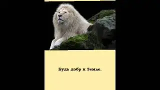 https://aviso.bz/?r=aleksandr2022