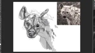 Hyena face warmup sketch
