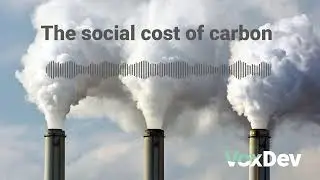 The social cost of carbon