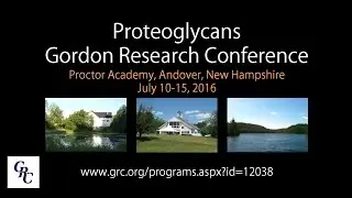 Proteoglycans Gordon Research Conference and Seminar 2016
