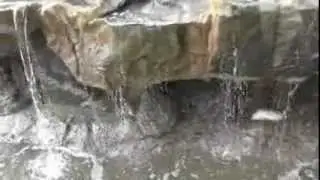 New LedgeFalls&trade; Training trailer