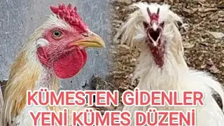 HİNTLER SULTANLAR CEMANİLER ARAMIZDAN AYRILANLAR 