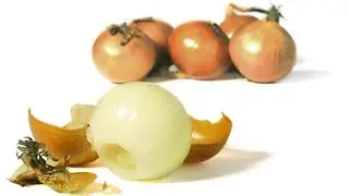Food Automation presents FINIS FAUP 4 Onion Peeler