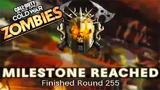 What Happens After Round 255 in Cold War Zombies - Black Ops Cold War Zombies Highest Round