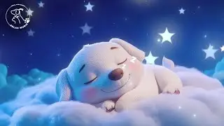After 10 Minutes You Will Fall Into Deep Sleep &bull;Cure For Insomnia &bull;Stop Overthinking &bull;Water Fountain