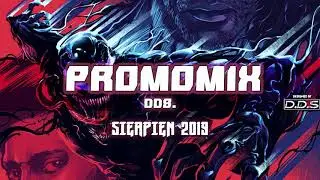 dds. - PROMOMIX [SIERPIEŃ 2019 - TO NA PEWNO NIE VIXA]