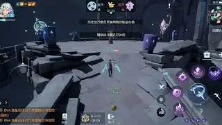 Dragon Raja : Assassin ( Executor)  in PvP