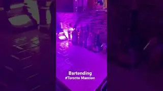 2 Bartenders vs 100 guests at a Toronto mansion Party May 2025